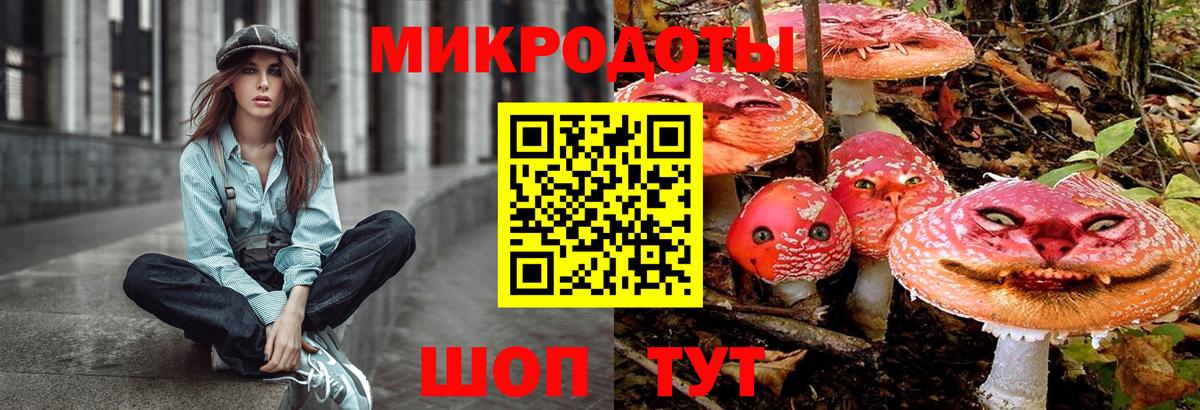 Серов  Псилоцибиновые грибы MAGIC MUSHROOMS  Вход с VPN 