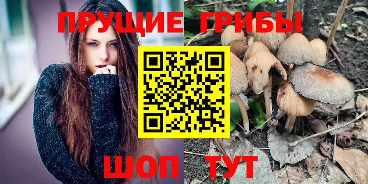 Галлюциногенные грибы Magic Shrooms Серов